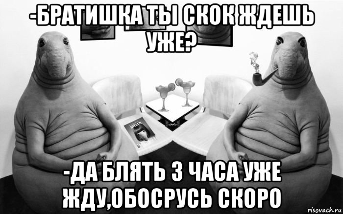 -братишка ты скок ждешь уже? -да блять 3 часа уже жду,обосрусь скоро, Мем  Два ждуна