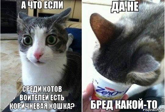 среди котов воителей есть коричневая кошка?, Комикс А что если