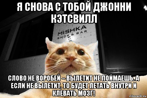 я снова с тобой джонни кэтсвилл слово не воробей – вылетит не поймаешь. а если не вылетит, то будет летать внутри и клевать мозг!, Мем   Джонни Кэтсвилл