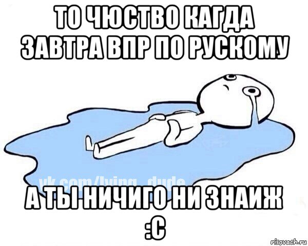 то чюство кагда завтра впр по рускому а ты ничиго ни знаиж :с, Мем Этот момент когда