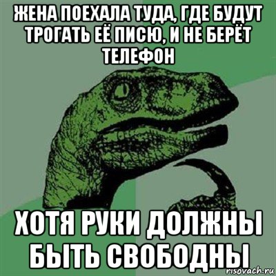 жена поехала туда, где будут трогать её писю, и не берёт телефон хотя руки должны быть свободны, Мем Филосораптор