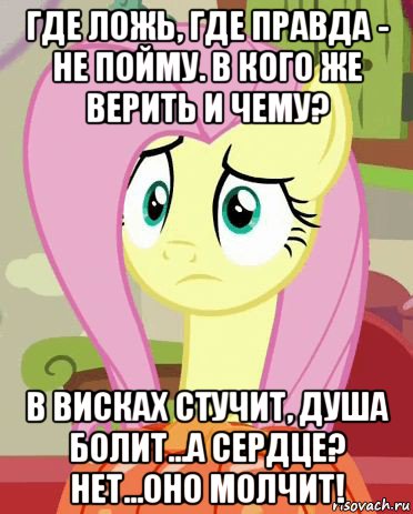 где ложь, где правда - не пойму. в кого же верить и чему? в висках стучит, душа болит...а сердце? нет...оно молчит!, Мем Флаттершай грустная