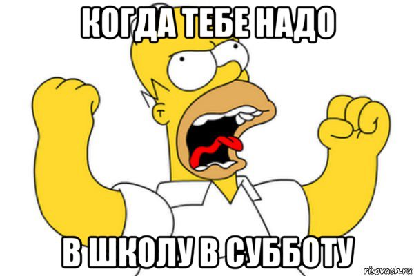 когда тебе надо в школу в субботу, Мем Разъяренный Гомер