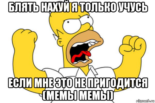 блять нахуй я только учусь если мне это не пригодится (мемы мемы), Мем Разъяренный Гомер