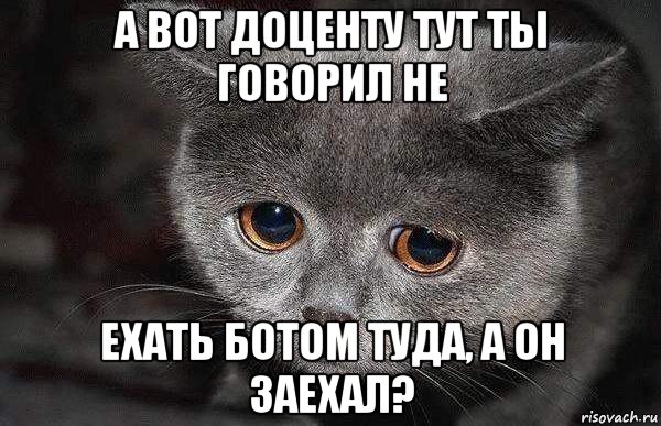 а вот доценту тут ты говорил не ехать ботом туда, а он заехал?, Мем  Грустный кот