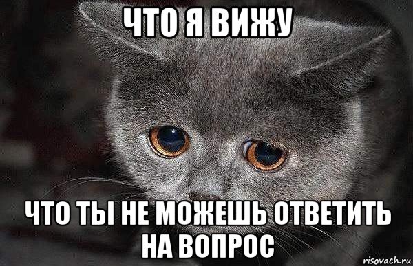 что я вижу что ты не можешь ответить на вопрос