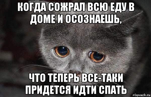 когда сожрал всю еду в доме и осознаешь, что теперь все-таки придется идти спать