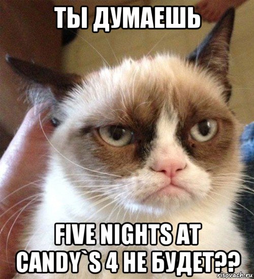 ты думаешь five nights at candy`s 4 не будет??, Мем Грустный (сварливый) кот