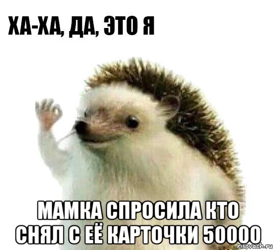  мамка спросила кто снял с её карточки 50000, Мем Ха-ха да это я