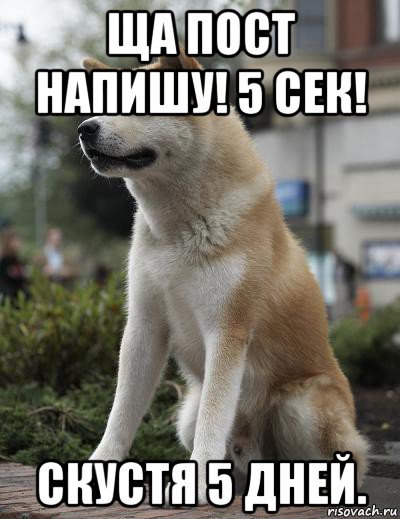 ща пост напишу! 5 сек! скустя 5 дней.