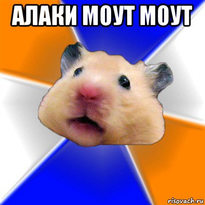 алаки моут моут , Мем Хомяк