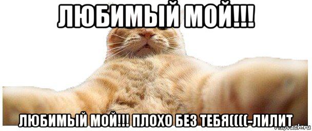 любимый мой!!! любимый мой!!! плохо без тебя((((-лилит, Мем   Кэтсвилл