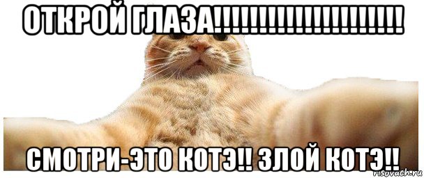 открой глаза!!!!!!!!!!!!!!!!!!!!! смотри-это котэ!! злой котэ!!, Мем   Кэтсвилл