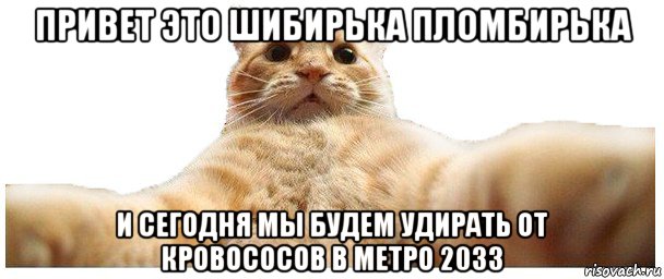 привет это шибирька пломбирька и сегодня мы будем удирать от кровососов в метро 2033, Мем   Кэтсвилл