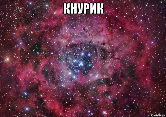 кнурик , Мем Ты просто космос