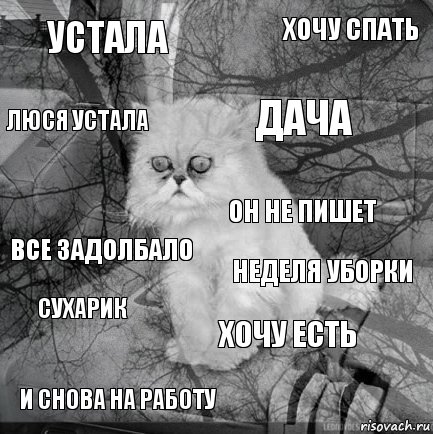 устала неделя уборки дача и снова на работу все задолбало хочу спать хочу есть люся устала сухарик он не пишет, Комикс  кот безысходность