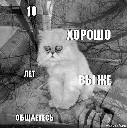 10 вы же хорошо общаетесь лет     , Комикс  кот безысходность