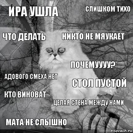 ира ушла стол пустой никто не мяукает мата не слышно адового смеха нет слишком тихо целая стена между нами что делать кто виноват почемуууу?, Комикс  кот безысходность