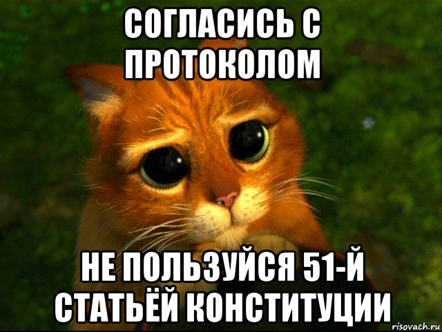 согласись с протоколом не пользуйся 51-й статьёй конституции, Мем кот из шрека