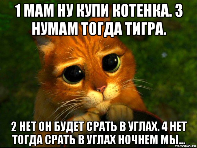 1 мам ну купи котенка. 3 нумам тогда тигра. 2 нет он будет срать в углах. 4 нет тогда срать в углах ночнем мы..., Мем кот из шрека