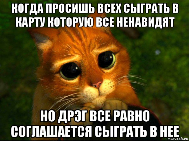 когда просишь всех сыграть в карту которую все ненавидят но дрэг все равно соглашается сыграть в нее, Мем кот из шрека