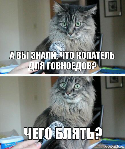 А ВЫ ЗНАЛИ, ЧТО КОПАТЕЛЬ ДЛЯ ГОВНОЕДОВ? Чего блять?, Комикс  кот с микрофоном