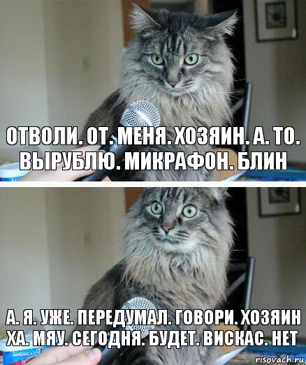 Отволи. От. Меня. Хозяин. А. То. Вырублю. Микрафон. Блин А. Я. Уже. Передумал. Говори. Хозяин ха. Мяу. Сегодня. Будет. Вискас. Нет, Комикс  кот с микрофоном