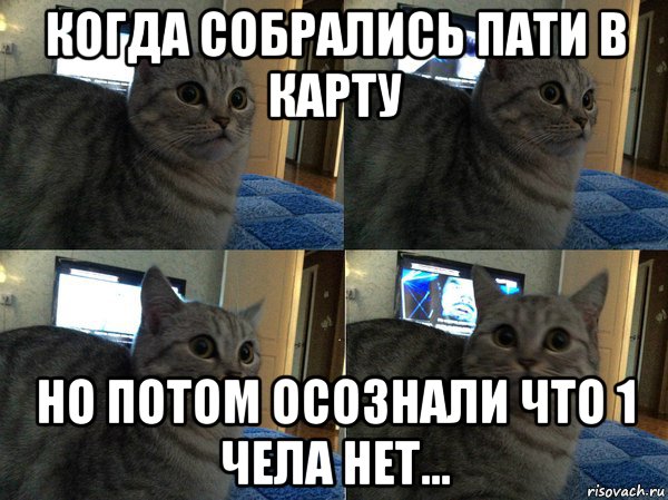 когда собрались пати в карту но потом осознали что 1 чела нет..., Мем  Кот в шоке