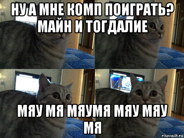 ну а мне комп поиграть? майн и тогдалие мяу мя мяумя мяу мяу мя, Мем  Кот в шоке