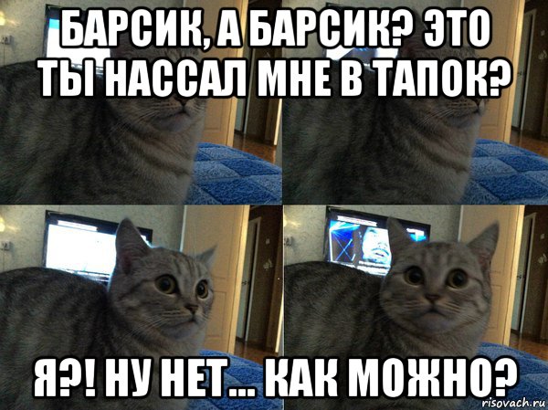 барсик, а барсик? это ты нассал мне в тапок? я?! ну нет... как можно?, Мем  Кот в шоке