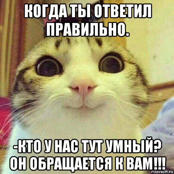 когда ты ответил правильно. -кто у нас тут умный? он обращается к вам!!!, Мем       Котяка-улыбака