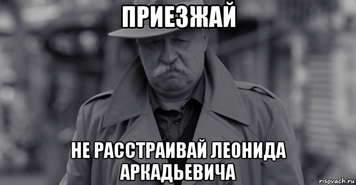 приезжай не расстраивай леонида аркадьевича, Мем Леонид Аркадьевич