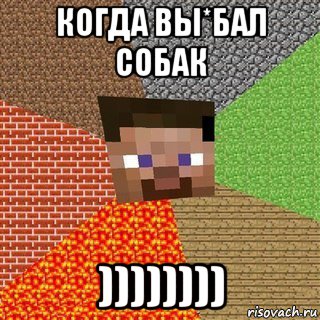 когда вы*бал собак ))))))))