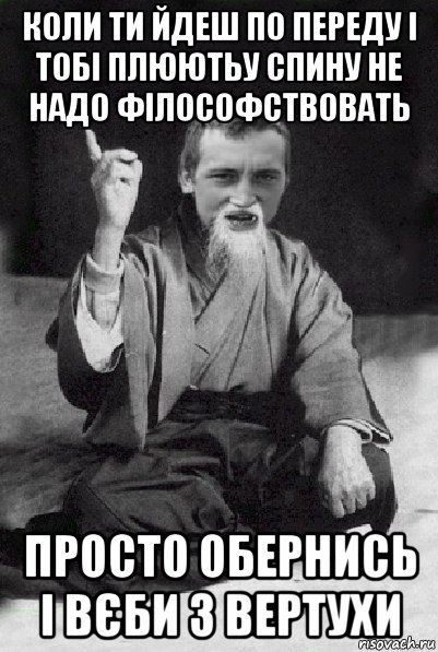 коли ти йдеш по переду і тобі плюютьу спину не надо філософствовать просто обернись і вєби з вертухи, Мем Мудрий паца