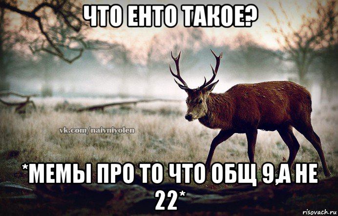 что енто такое? *мемы про то что общ 9,а не 22*, Мем naivehole