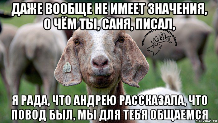 даже вообще не имеет значения, о чём ты, саня, писал, я рада, что андрею рассказала, что повод был, мы для тебя общаемся, Мем  Наивная овца