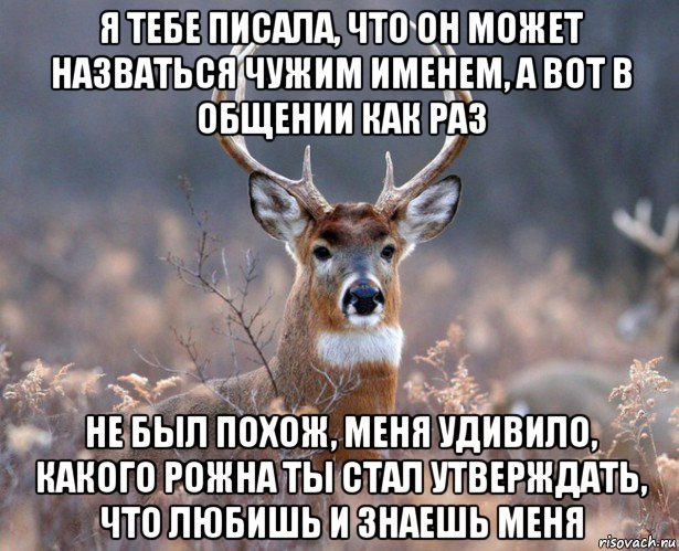 я тебе писала, что он может назваться чужим именем, а вот в общении как раз не был похож, меня удивило, какого рожна ты стал утверждать, что любишь и знаешь меня, Мем   Наивный олень