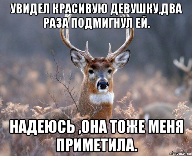 увидел красивую девушку,два раза подмигнул ей. надеюсь ,она тоже меня приметила., Мем   Наивный олень