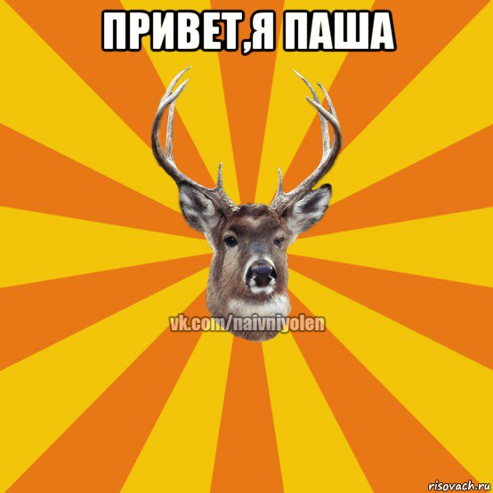 привет,я паша 