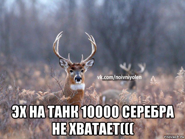  эх на танк 10000 серебра не хватает(((