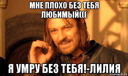 мне плохо без тебя любимый((( я умру без тебя!-лилия, Мем Нельзя просто так взять и (Боромир мем)