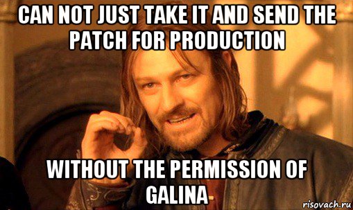 can not just take it and send the patch for production without the permission of galina, Мем Нельзя просто так взять и (Боромир мем)