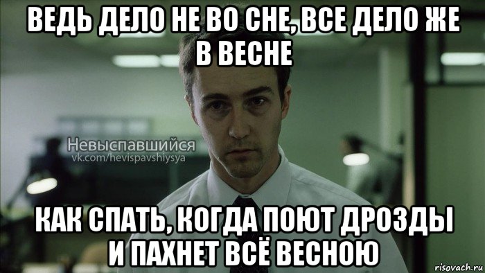 ведь дело не во сне, все дело же в весне как спать, когда поют дрозды и пахнет всё весною, Мем Невыспавшийся