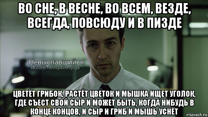 во сне, в весне, во всем, везде, всегда, повсюду и в пизде цветёт грибок, растёт цветок и мышка ищет уголок, где съест свой сыр и может быть, когда нибудь в конце концов, и сыр и гриб и мышь уснёт, Мем Невыспавшийся