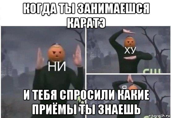 когда ты занимаешся каратэ и тебя спросили какие приёмы ты знаешь, Мем  Ни ху Я