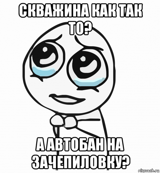 скважина как так то? а автобан на зачепиловку?, Мем  ну пожалуйста (please)