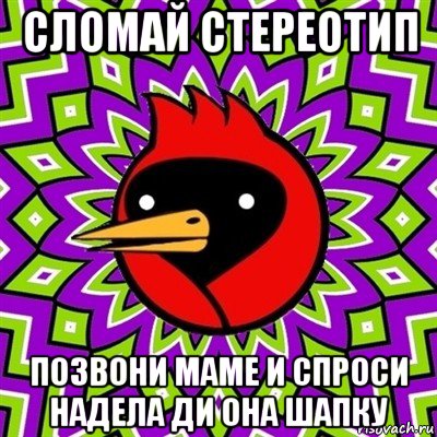 сломай стереотип позвони маме и спроси надела ди она шапку, Мем Омская птица