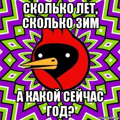 сколько лет, сколько зим а какой сейчас год?, Мем Омская птица