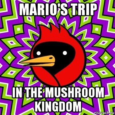 mario's trip in the mushroom kingdom, Мем Омская птица