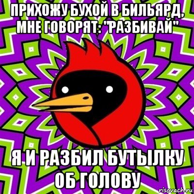 прихожу бухой в бильярд, мне говорят: "разбивай" я и разбил бутылку об голову, Мем Омская птица